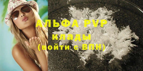 стаф Медвежьегорск