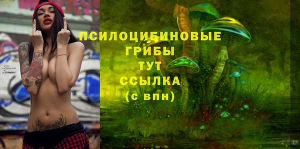 PSILOCYBIN Медногорск