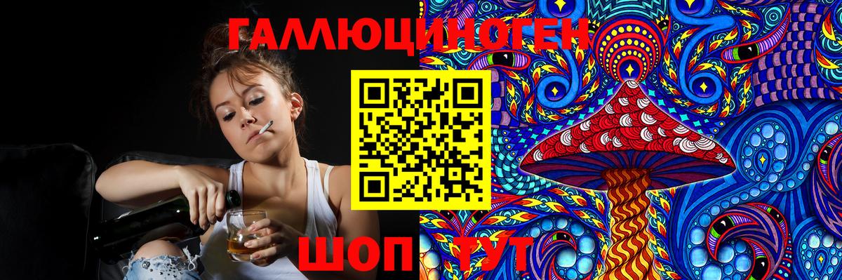 купить   Сосновый Бор  Псилоцибиновые грибы мицелий 